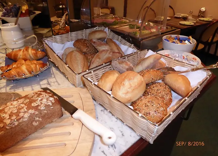 阿斯托利亚酒店 3* 拉廷根